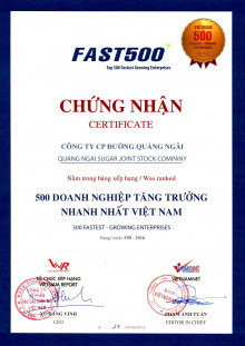 Chứng nhận đứng thứ 358/500 doanh nghiệp tăng trưởng nhanh nhất Việt Nam.