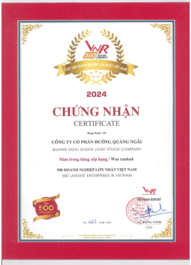 Top 500 DN lớn nhất Việt Nam VNR