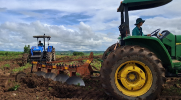 RA QUÂN CÀY TRỒNG MÍA VỤ MỚI 2025–2026