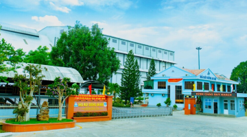 Nhà máy Đường An Khê nghiêm cấm sử dụng máy cơ giới gắp mía nguyên liệu