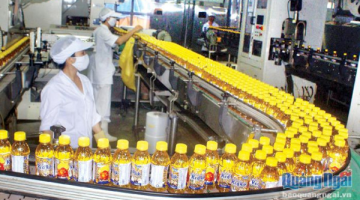 Công ty CP Đường Quảng Ngãi: Vẫn vững lá cờ đầu