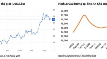 Đường Quảng Ngãi ước lãi trước thuế 224 tỷ tháng 4, lợi nhuận mảng đường tăng gần 9 lần cùng kỳ