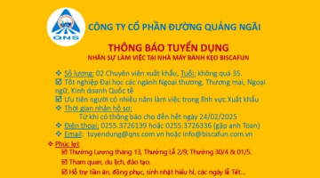 QNS tuyển dụng 02 chuyên viên xuất khẩu làm việc tại Nhà máy Bánh kẹo Biscafun