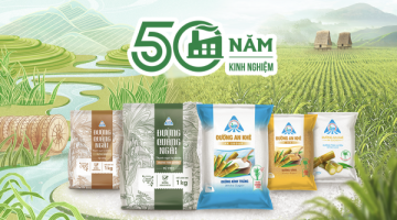 Tây Nguyên hôm nay - Niềm vui từ vụ mía đường năm nay