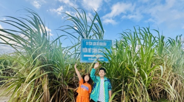 Về miền huyền tích Cánh đồng Cô Hầu