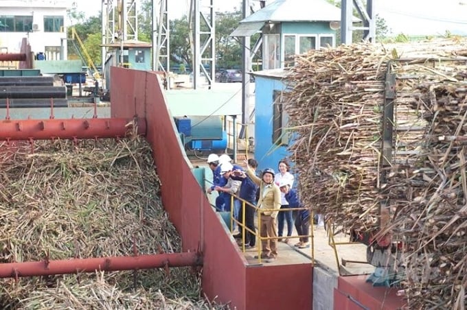 Cứ 4 tấn mía cho ra 1 tấn bã, số bã này được đưa sang Nhà máy điện sinh khối An Khê để làm ra nguồn điện sạch. Ảnh: V.Đ.T.